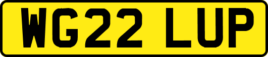 WG22LUP