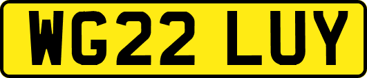 WG22LUY
