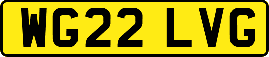 WG22LVG