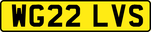 WG22LVS
