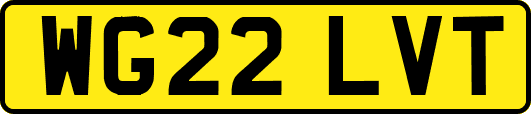 WG22LVT