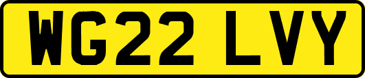 WG22LVY