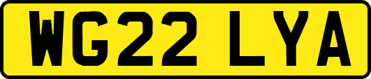 WG22LYA