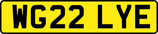 WG22LYE