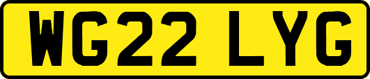 WG22LYG