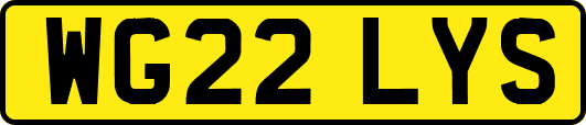 WG22LYS