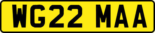 WG22MAA