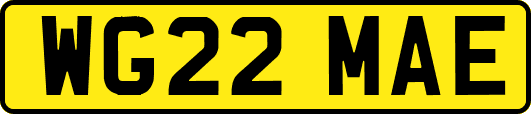 WG22MAE