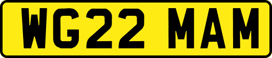 WG22MAM