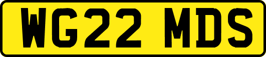 WG22MDS