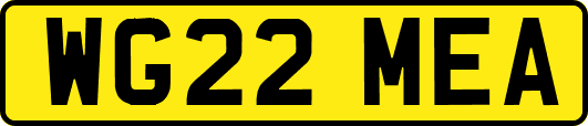 WG22MEA