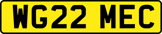 WG22MEC