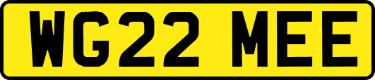 WG22MEE
