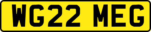 WG22MEG
