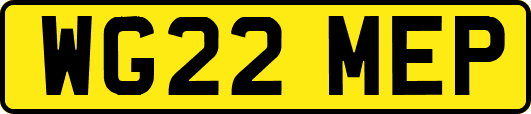 WG22MEP