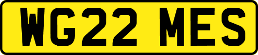 WG22MES