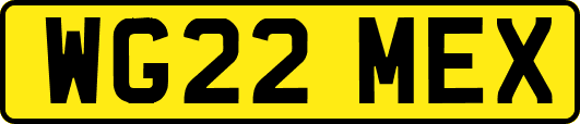 WG22MEX