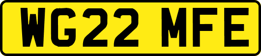 WG22MFE