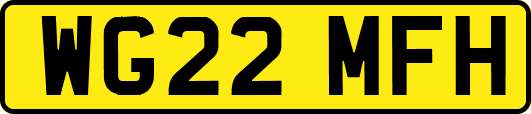 WG22MFH