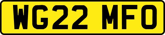 WG22MFO