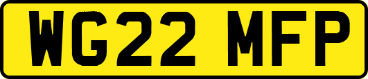 WG22MFP