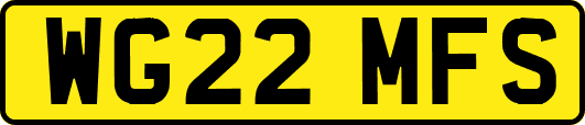 WG22MFS