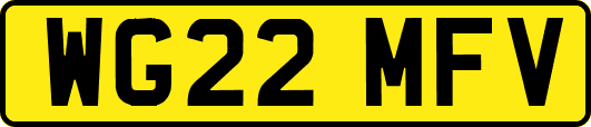 WG22MFV