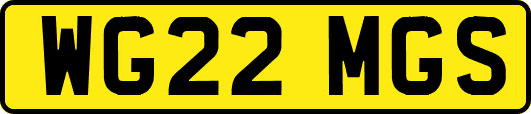 WG22MGS