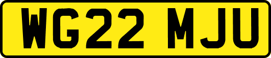 WG22MJU
