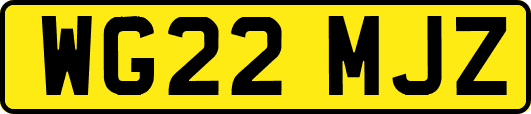 WG22MJZ