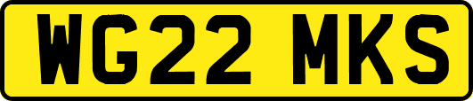 WG22MKS