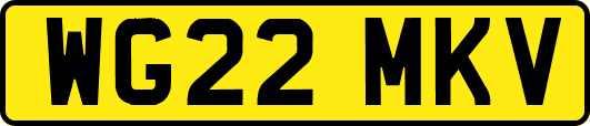 WG22MKV