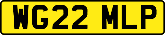 WG22MLP