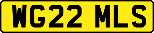 WG22MLS