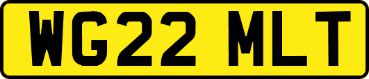 WG22MLT