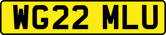 WG22MLU