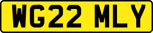 WG22MLY
