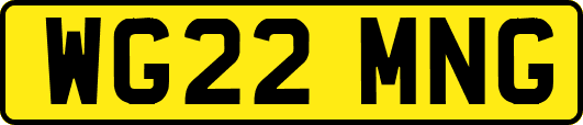 WG22MNG