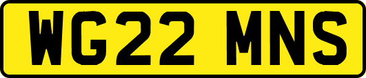 WG22MNS