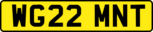WG22MNT