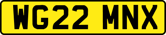 WG22MNX