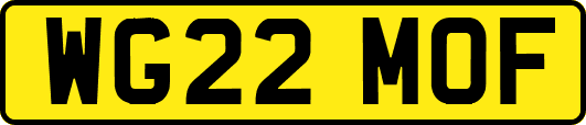 WG22MOF