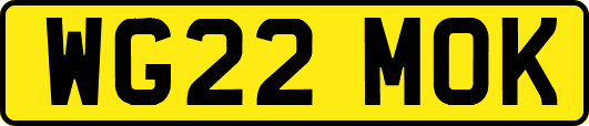 WG22MOK