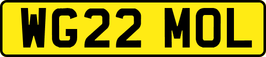 WG22MOL