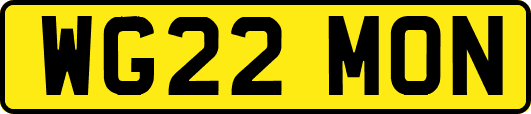 WG22MON