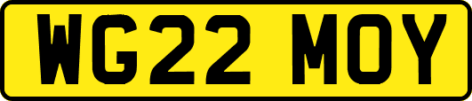 WG22MOY