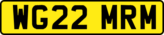 WG22MRM