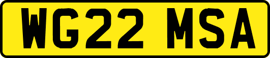 WG22MSA