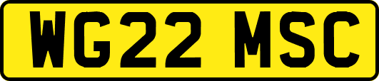 WG22MSC
