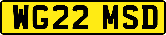 WG22MSD
